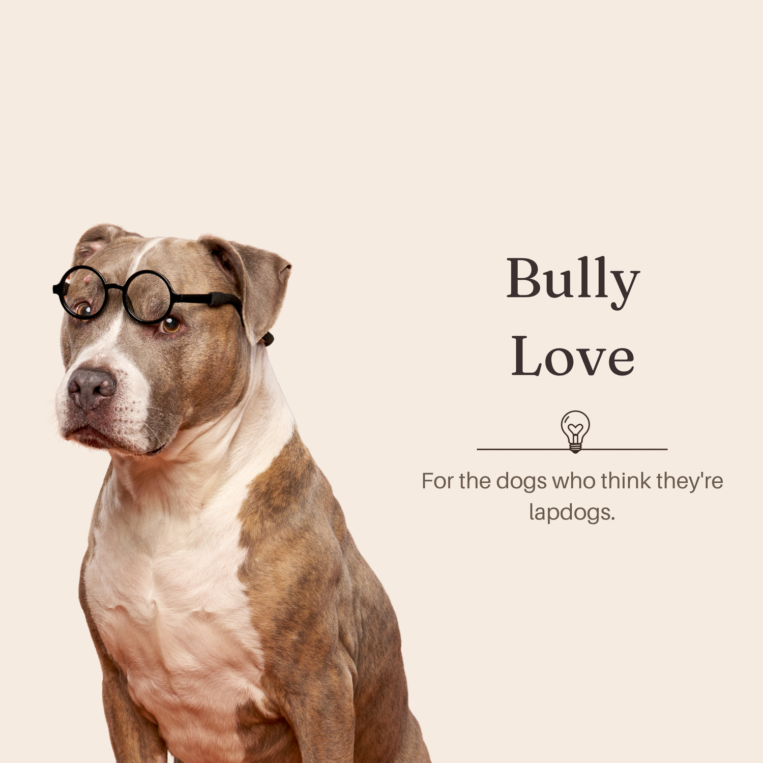 Bully Love