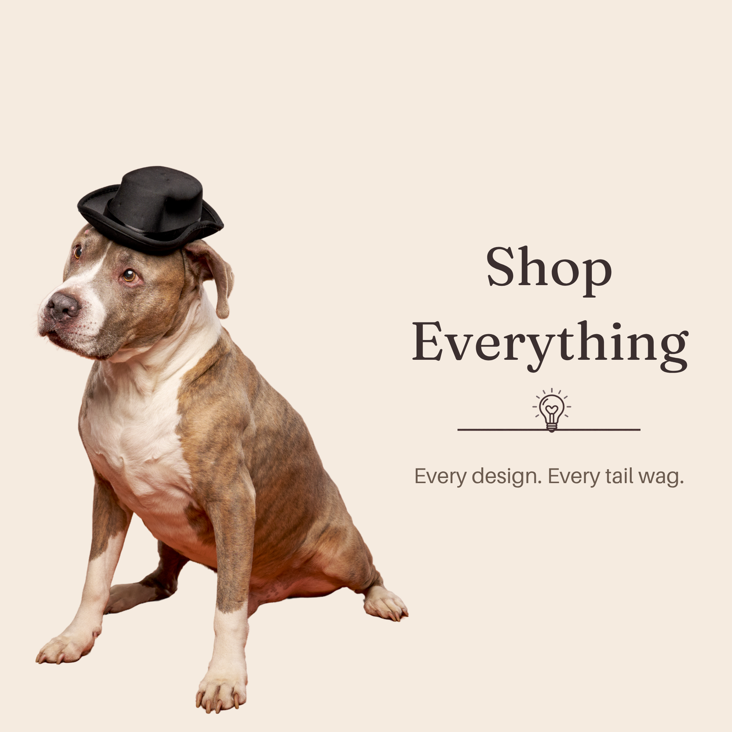 Shop Everything